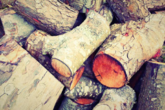 Love Green wood burning boiler costs